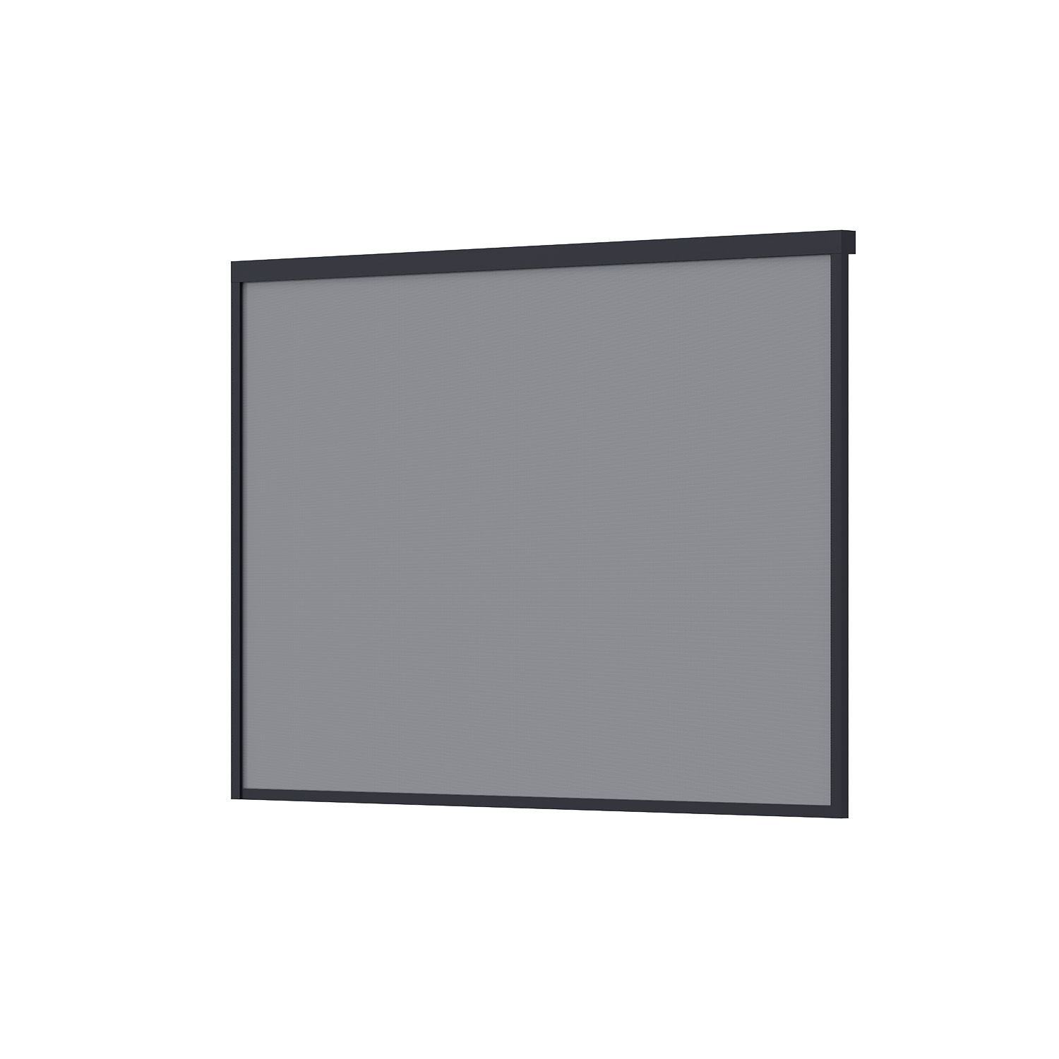 Intro Zijscreen - 3.0M, Antraciet (RAL7016S)